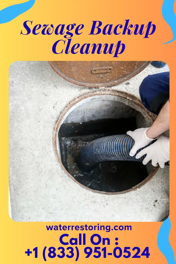 Sewage Backup Cleanup in Goshen, IN